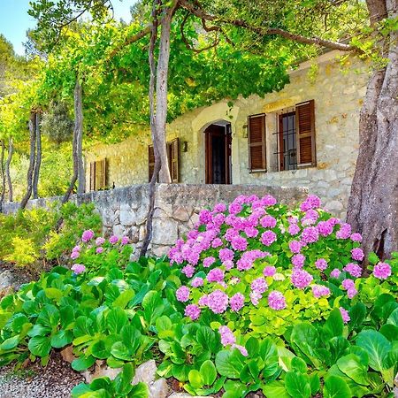 Na Garrovera Pollenca Luaran gambar